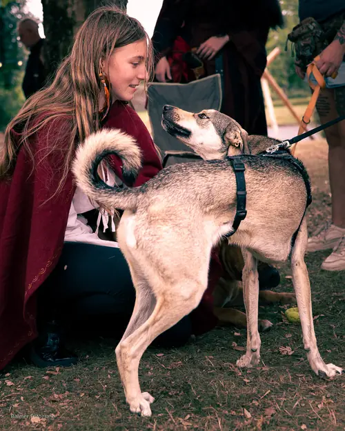 Foto vom Hüblinger Gauklerfest